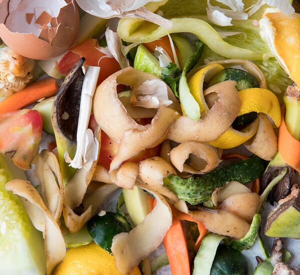 zmieszane śmieci biodegradowalne